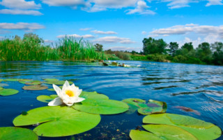 Sommartur MS Lofsdalen